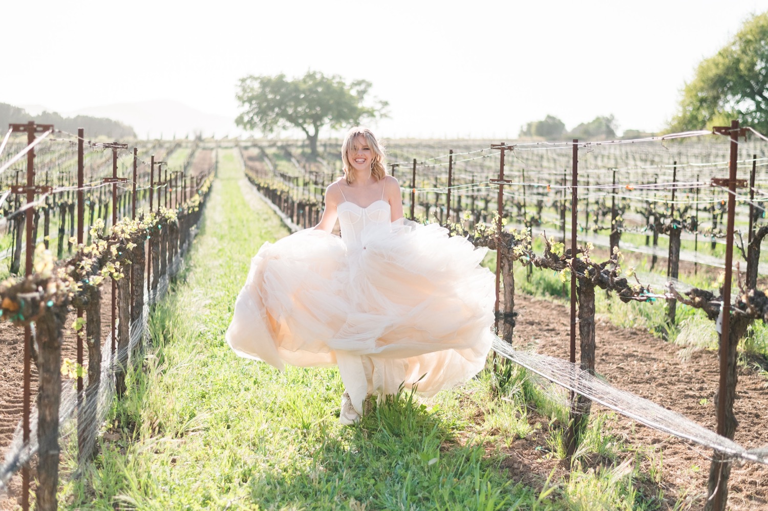 bride and groom portraits at sunstone winery